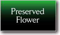 Preserved Flower