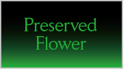 Preserved Flower